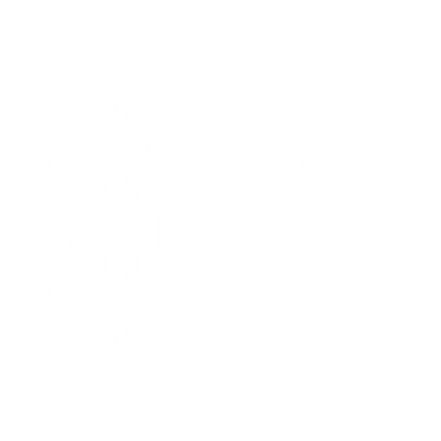strength icon